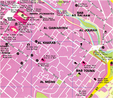 Carte de Damas 