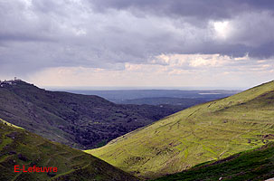 Photo n-003 