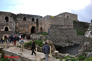 Photo n-015 