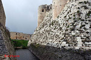 Photo n-018 