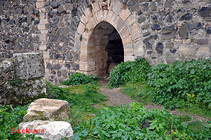 Photo n-020 