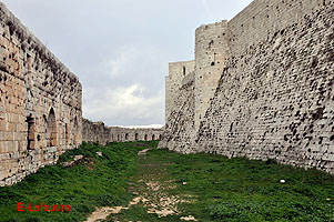 Photo n-027 