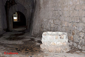Photo n-031 