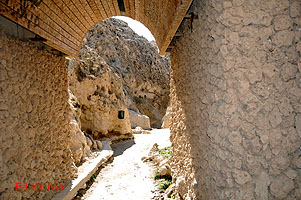 Photo n-013 