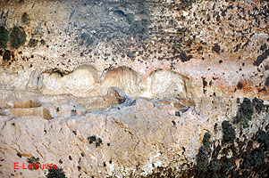 Photo n-016 