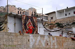 Photo n-15 