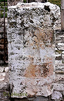 Photo n-17 