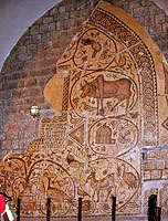 Photo n-011 