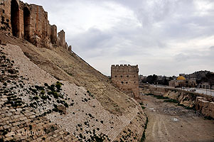Photo n-03 