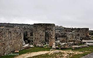  Kirk Bize 