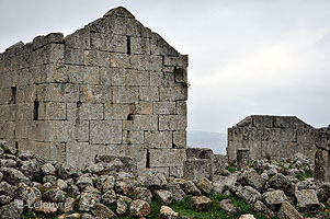  Kirk Bize 