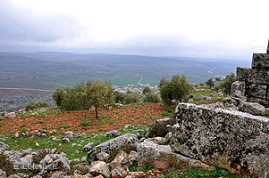  Kirk Bize 