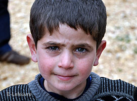  Qalb Loze 