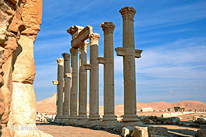 Palmyre - colonnade - n06 