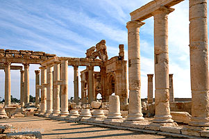 Palmyre - colonnade - n12 